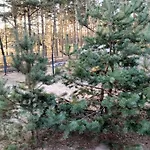 Osada Blanka Lesny Zakatek Jezioro Rzeka Hébergement de vacances *