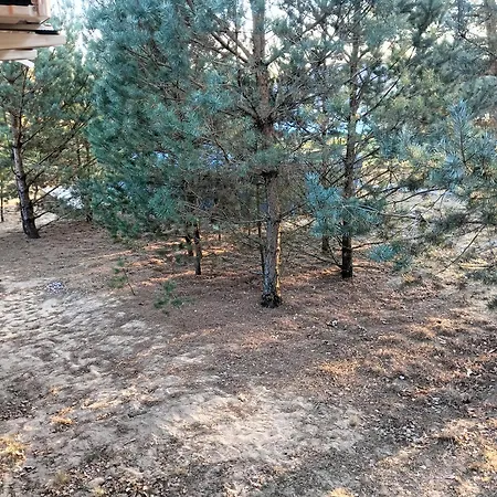 Holiday home Osada Blanka Lesny Zakatek Jezioro Rzeka *