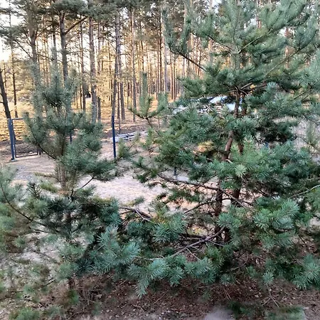 Osada Blanka Lesny Zakatek Jezioro Rzeka Casa de Férias *