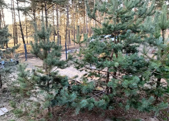 Osada Blanka Lesny Zakatek Jezioro Rzeka Дом отдыха *